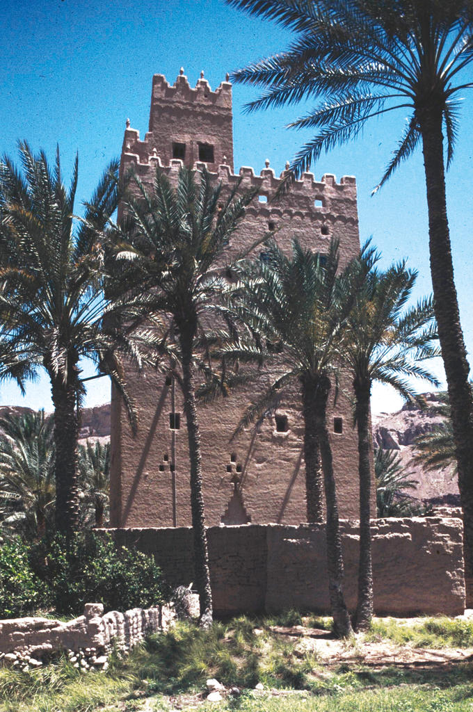 Maison-tour dans une oasis. 