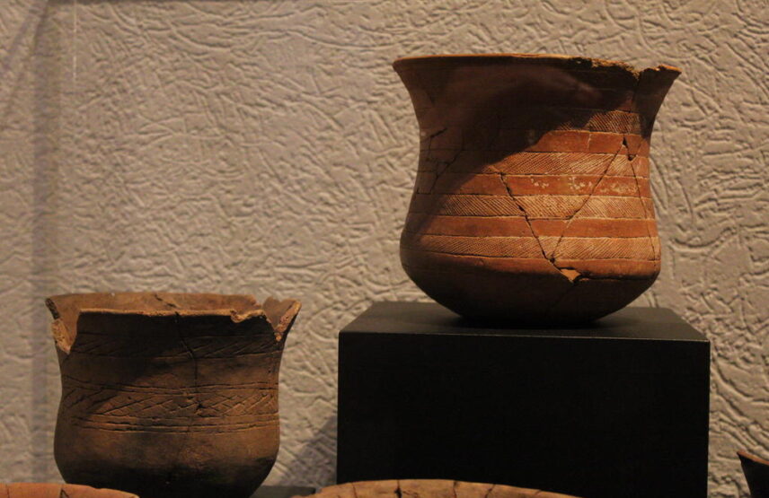 Céramiques campaniformes.