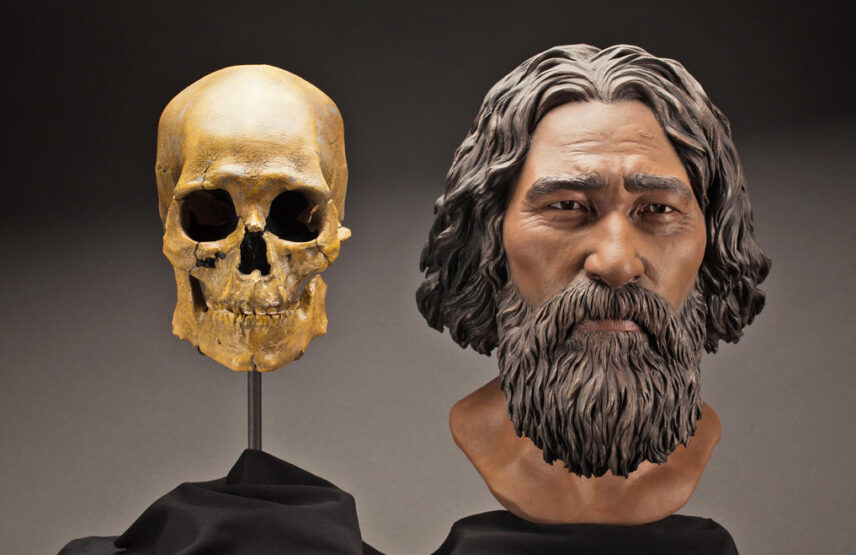 Crâne de l’homme de Kennewick et proposition de restitution de son visage.