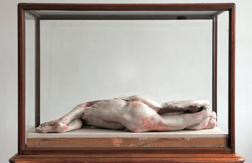 Berlinde De Bruyckere, Into One-another I, to P.P.P., 2010-2011. Cire, bois, verre, fer, époxy. Iself Collection.