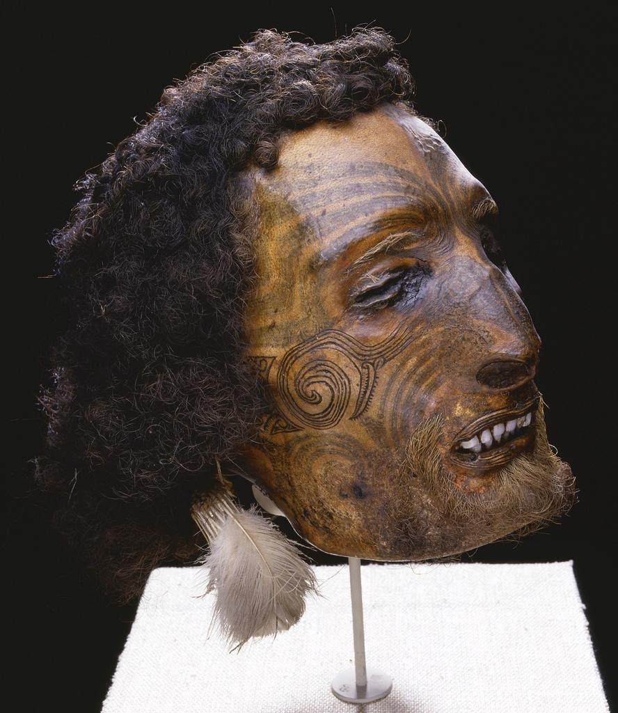Tête momifiée et tatouée maori.