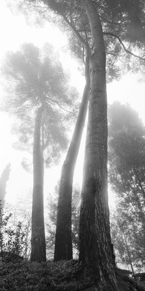 Bae Bien-U (né en 1950), AHBR1A-021V, Alhambra, 2009. C-Print contrecollé sous Diasec, 110 x 210 cm. 