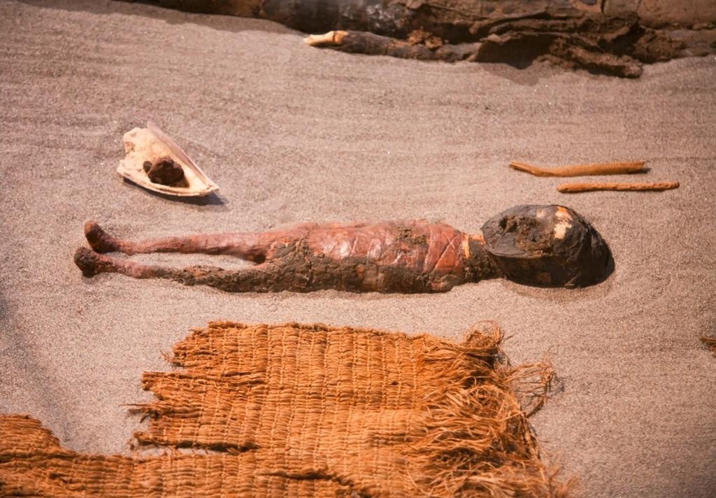 Momie Chinchorro d’un bébé, l’une des plus anciennes au monde. Musée archéologique San Miguel De Azapa.