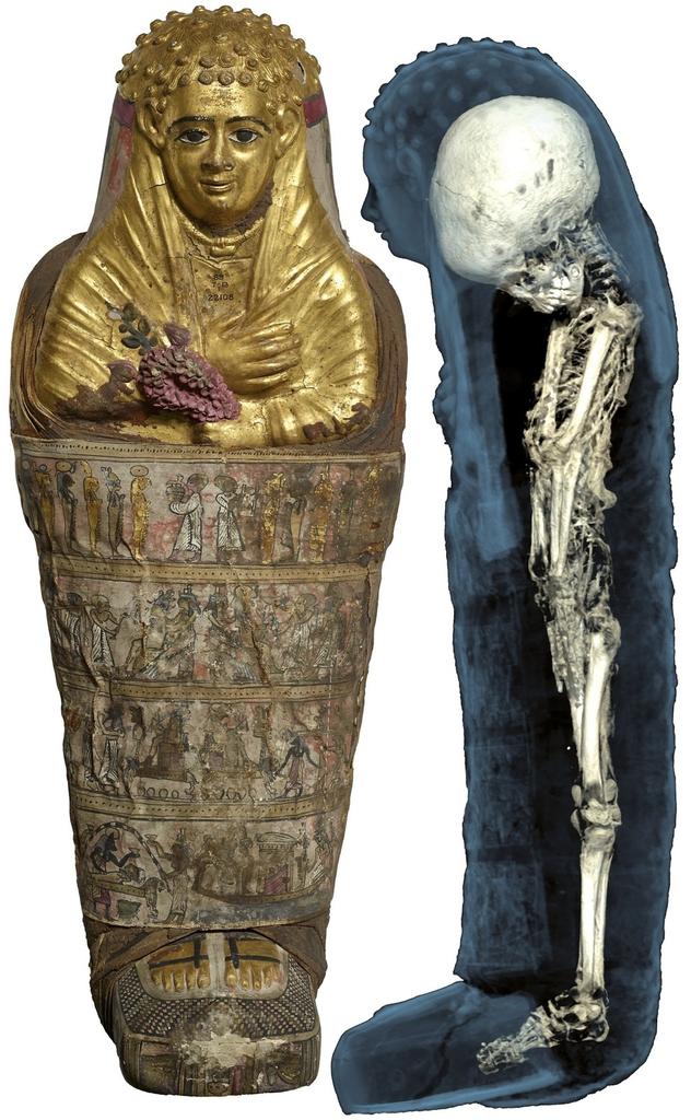Momie d’enfant et visualisation de son squelette. Époque romaine, vers 40-60 avant notre ère, Hawara, Égypte, EA 22108.