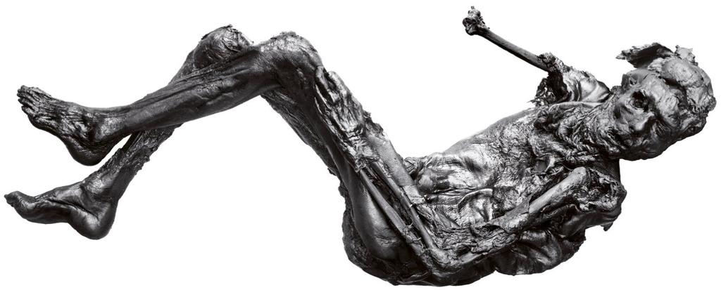 Homme des tourbières de Borremose. Il a été découvert à Himmerland au Danemark. Âge du bronze nordique (840 avant notre ère). Comme souvent, les corps des tourbières portent des traces de mort violente, ici une corde autour du cou.