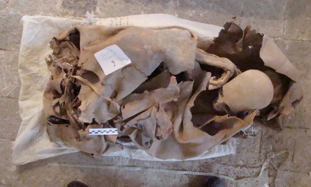 Momie naturelle du Yémen. Le musée de Sanaa abrite une douzaine de momies naturelles, datées entre le Xᵉ siècle avant notre ère et le VIIᵉ siècle de notre ère, souvent enveloppées d’une peau de bœuf ou de chameau cousue.