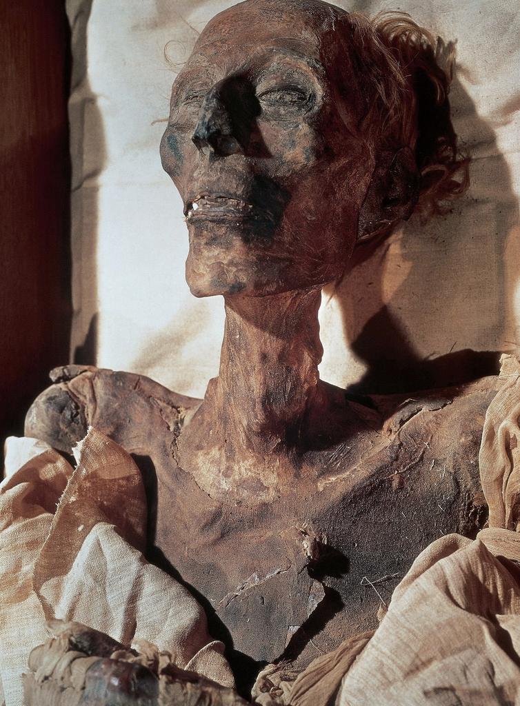 Momie du pharaon Ramsès II (1289-1224 avant notre ère). Nouvel Empire, XIXᵉ dynastie. Le Caire, musée égyptien.