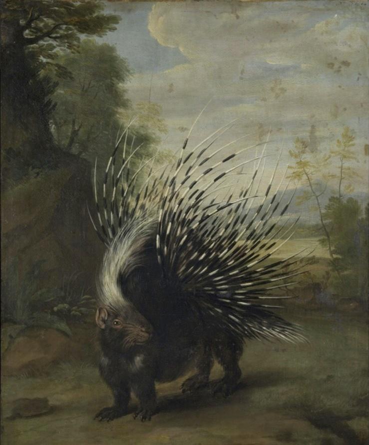 Nicasius Bernaerts, Porc-épic, vers 1664-1668. Huile sur toile, 90 x 74 cm. Bordeaux, musée des Beaux-Arts.