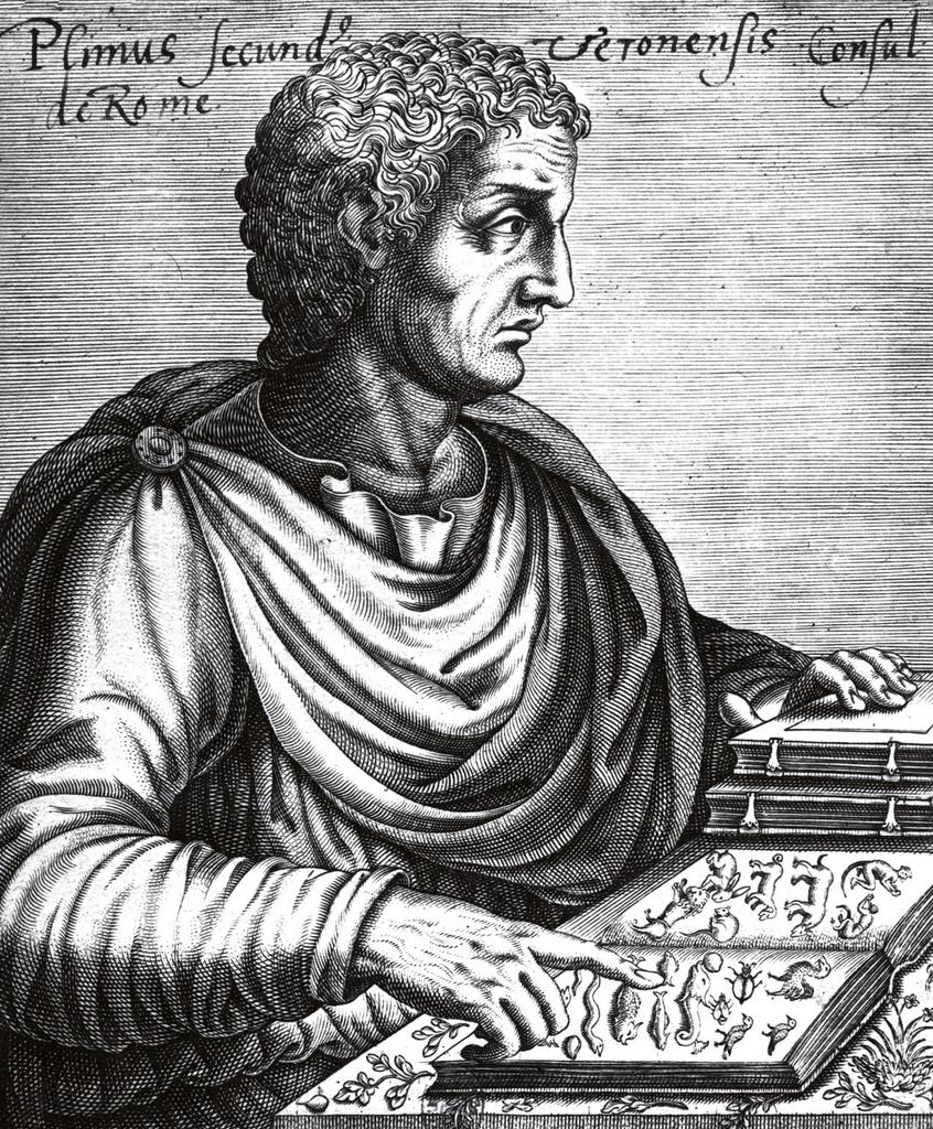 Pline l'Ancien. Gravure de l’École française, XVIIᵉ siècle. Paris, Bibliothèque nationale de France.