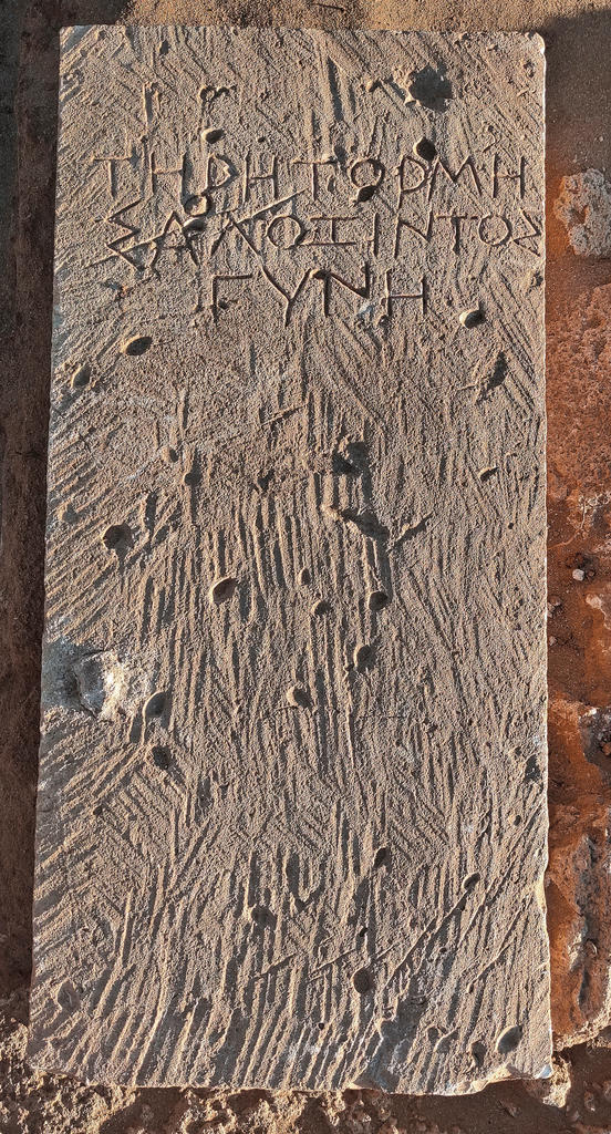 Stèle funéraire de Térétormè, épouse de Saloxis. 