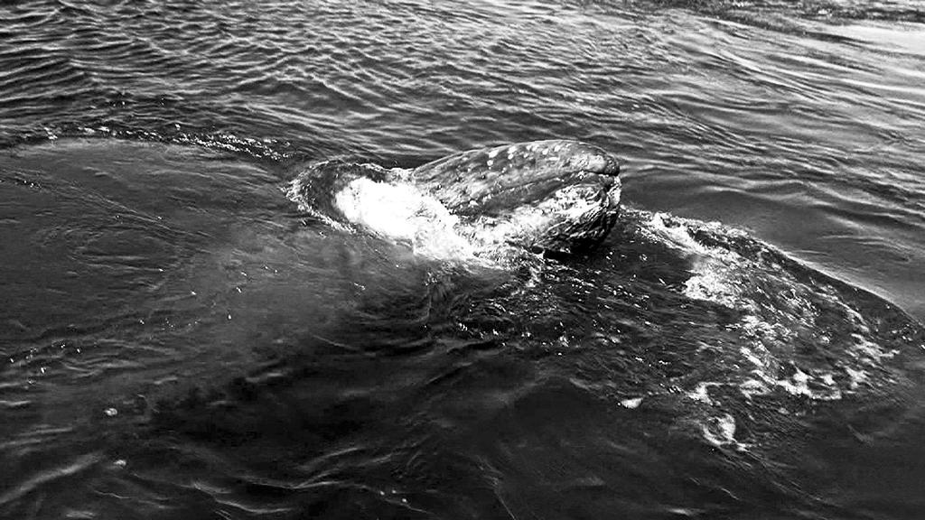 Tania Mouraud (née en 1942), Ad Infinitum, 2009. Centre national des arts plastiques. 