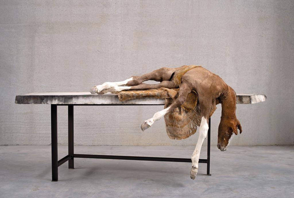 Berlinde De Bruyckere, Lost V, 2022. Peau de cheval, marbre, textile, fer, époxy. Courtesy Hauser & Wirth.