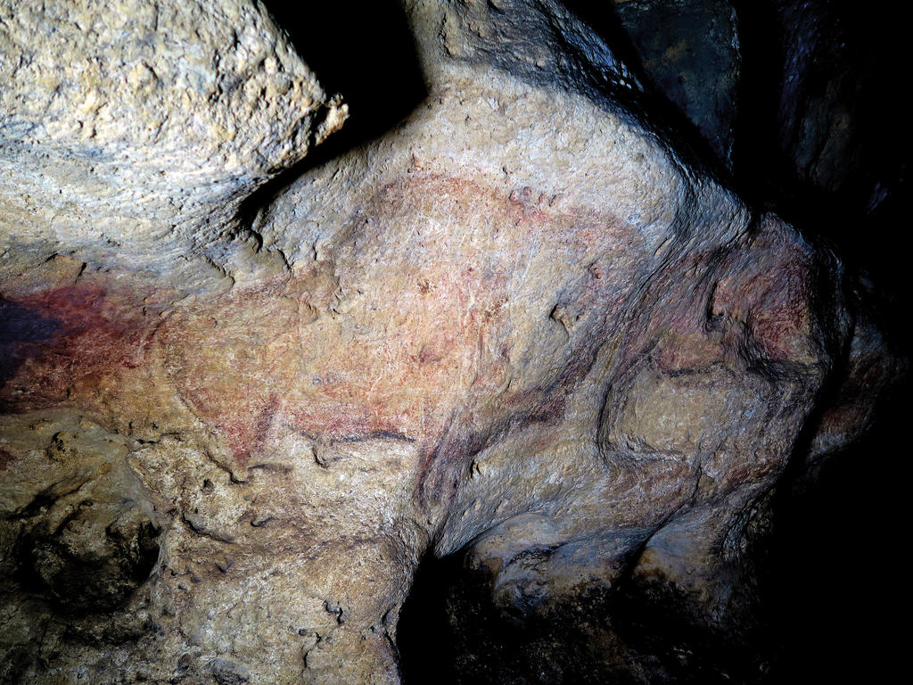 Bisons gravés et peints dans la galerie principale.