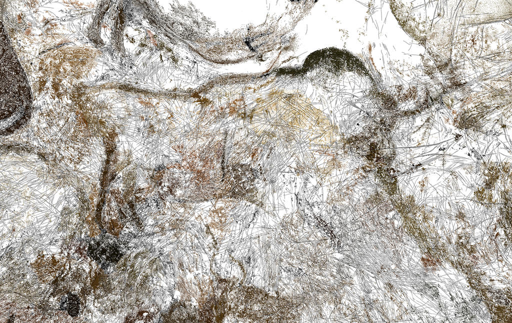 Bison et signes gravés et peints du cabinet des Bisons. 