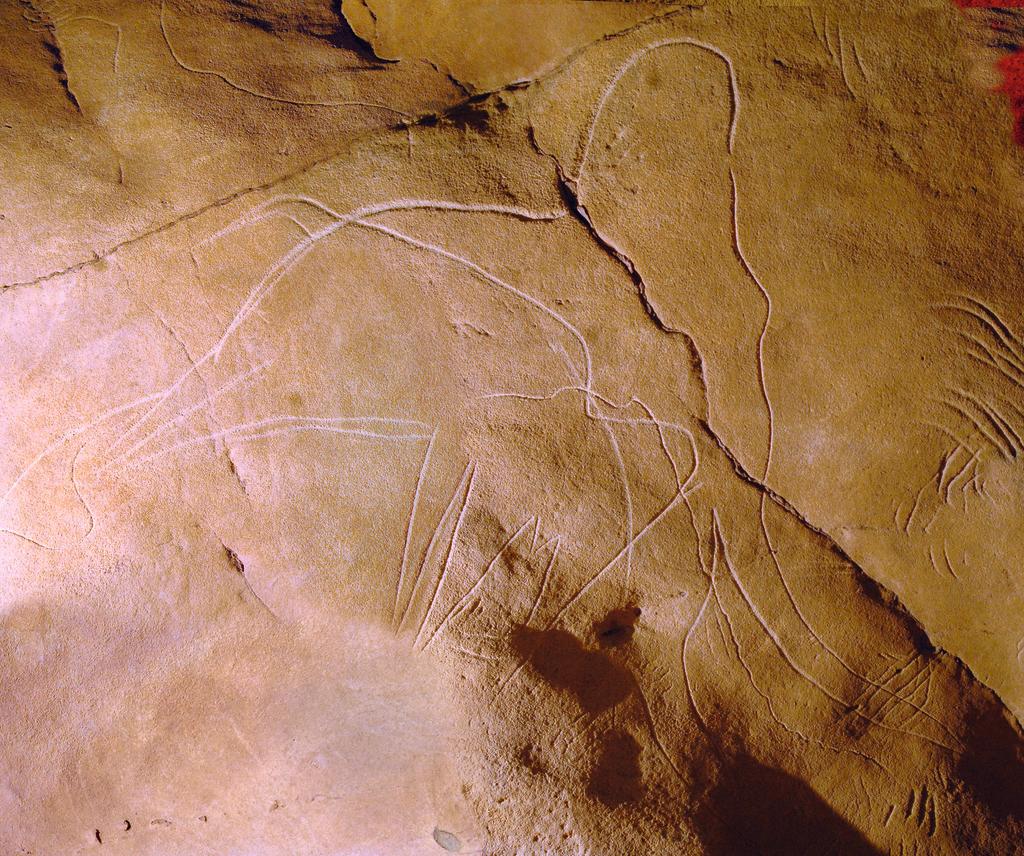 Deux mammouths enchevêtrés du panneau du Bouquetin dans la grotte de Cussac.