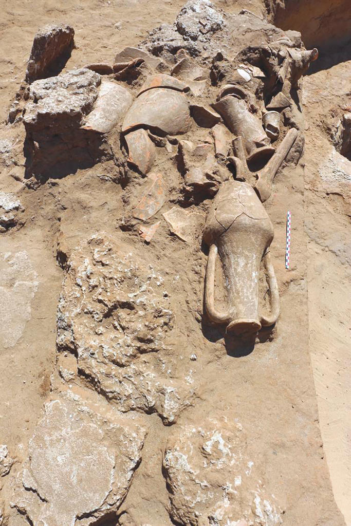 Ces amphores ont été alignées sur le mur de ceinture du tertre funéraire de la sépulture SP 26. 