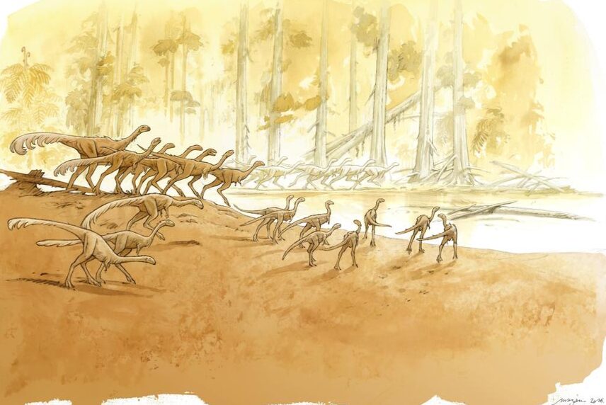 Évocation du site d’Angeac avec les grands sauropodes et les ornithomimosaures. 