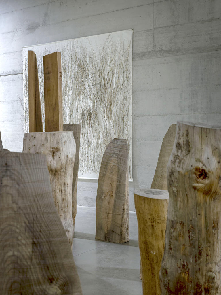 Vue de l’exposition 