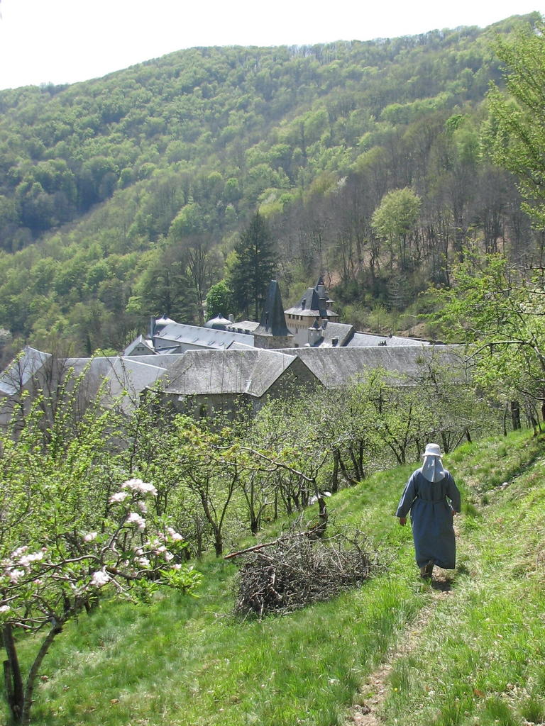 Abbaye Notre-Dame de Bonneval (Aveyron). 