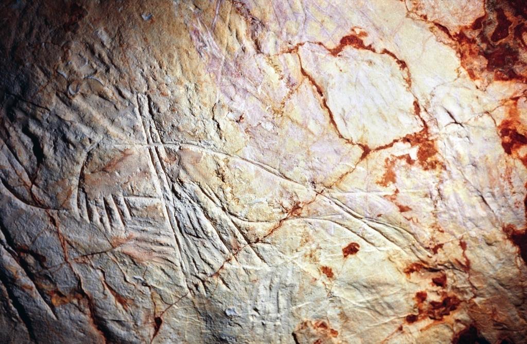 Phoque gravé et barré de traits. S’agit-il de projectiles ?