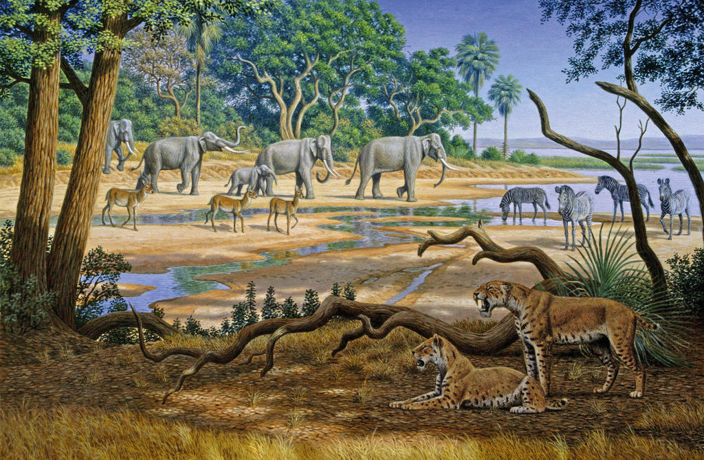 Évocation de paysage dans lequel ont vécu les paranthropes. 