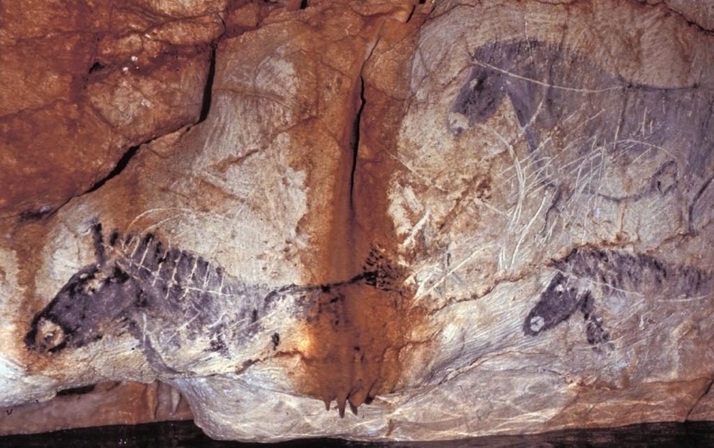 Le panneau des petits chevaux, en partie effacé par la remontée de la mer entre 18 000 ans et la période actuelle.