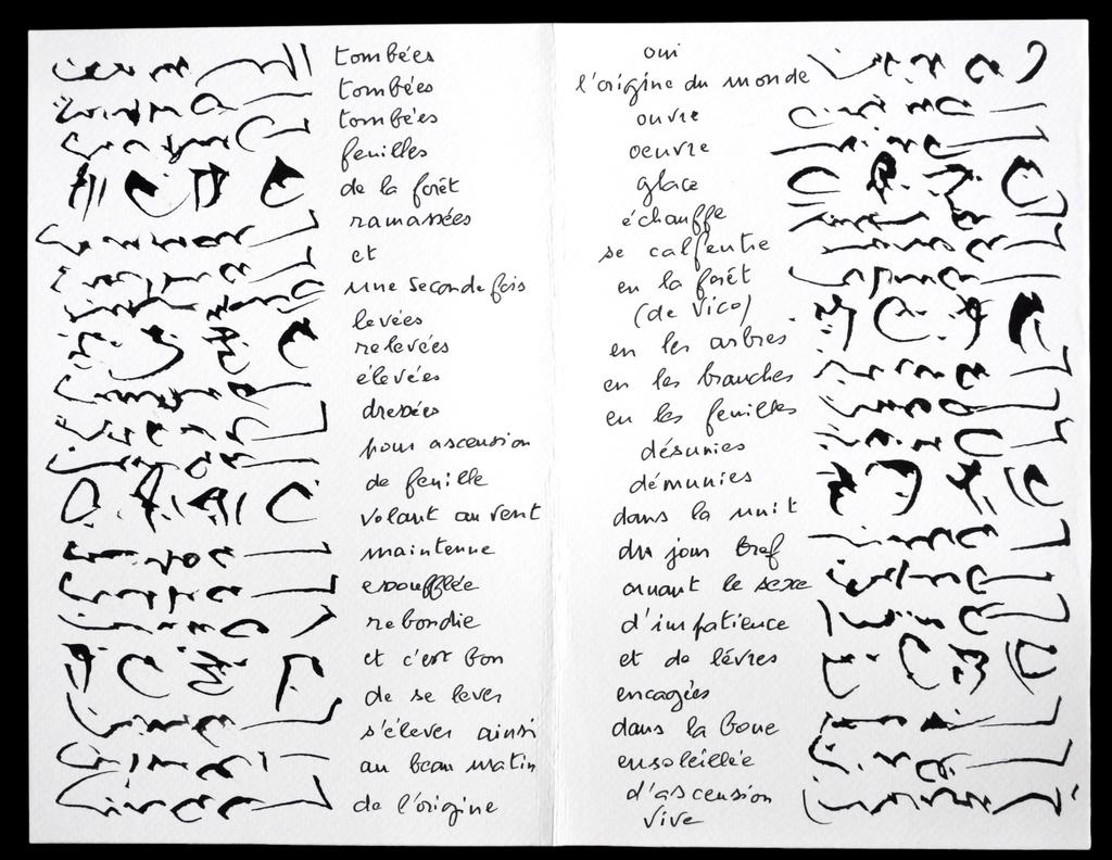 Jephan de Villiers et Daniel Leuwers, Tombées, double page, 2024.