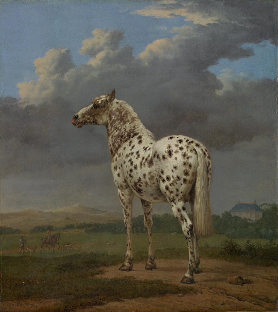 Paulus Potter (1625-1654), Le Cheval pie, vers 1650. Huile sur toile, 50,2 x 45,1 cm. Los Angeles, The J. Paul Getty Museum.