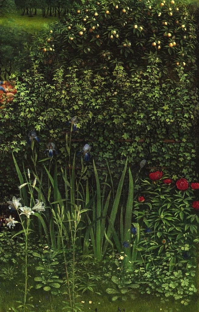 Détail de la végétation après restauration.