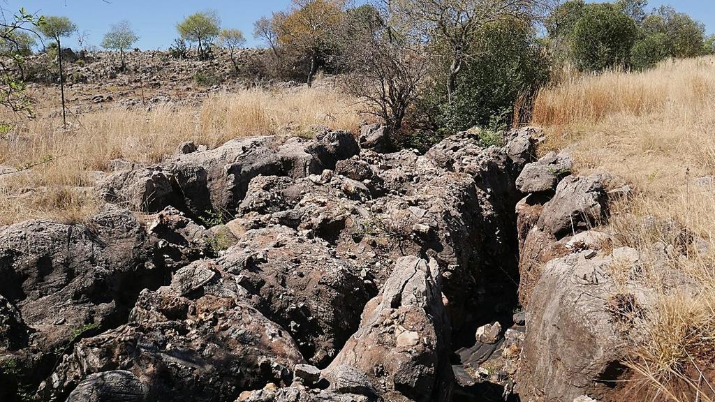 Vue du site de Cooper’s D. 