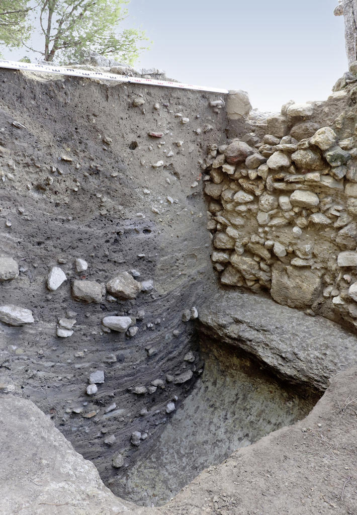 Dépotoir cendreux de près de 3 m dans un ancien fossé de fortification. Les nombreux carpo-restes y sont étudiés par L. Bouby, afin de mieux qualifier l’agriculture du milieu de l’Âge du fer.