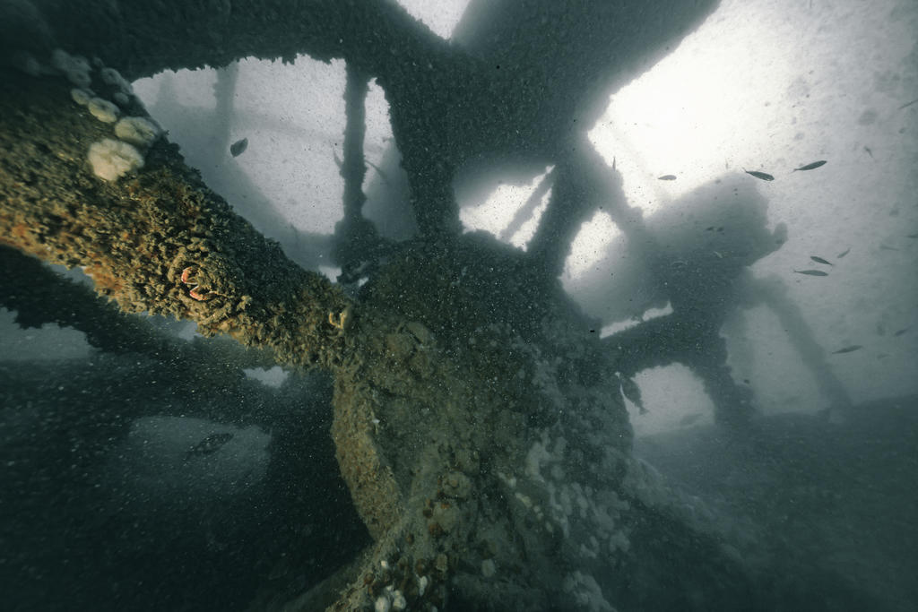 Squelette de l’une des deux roues à aubes du Brighton Queen, l’une des épaves expertisées lors de la mission de 2024. 