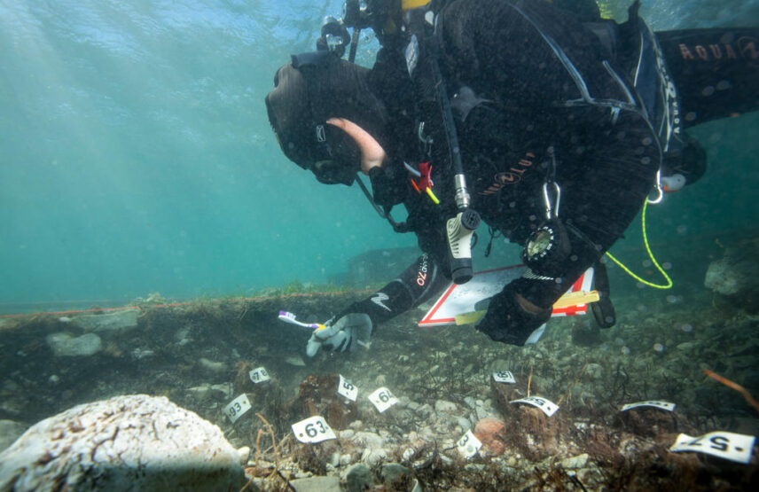 Fouille du potentiel angle formé par les pieux.