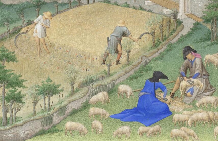 Les frères de Limbourg, Très Riches Heures du duc de Berry, ms. 65, folio 7 v°, le mois de juillet, « La moisson » (détail), vers 1411-1416. Chantilly, bibliothèque du musée Condé. 21 x 29 cm.