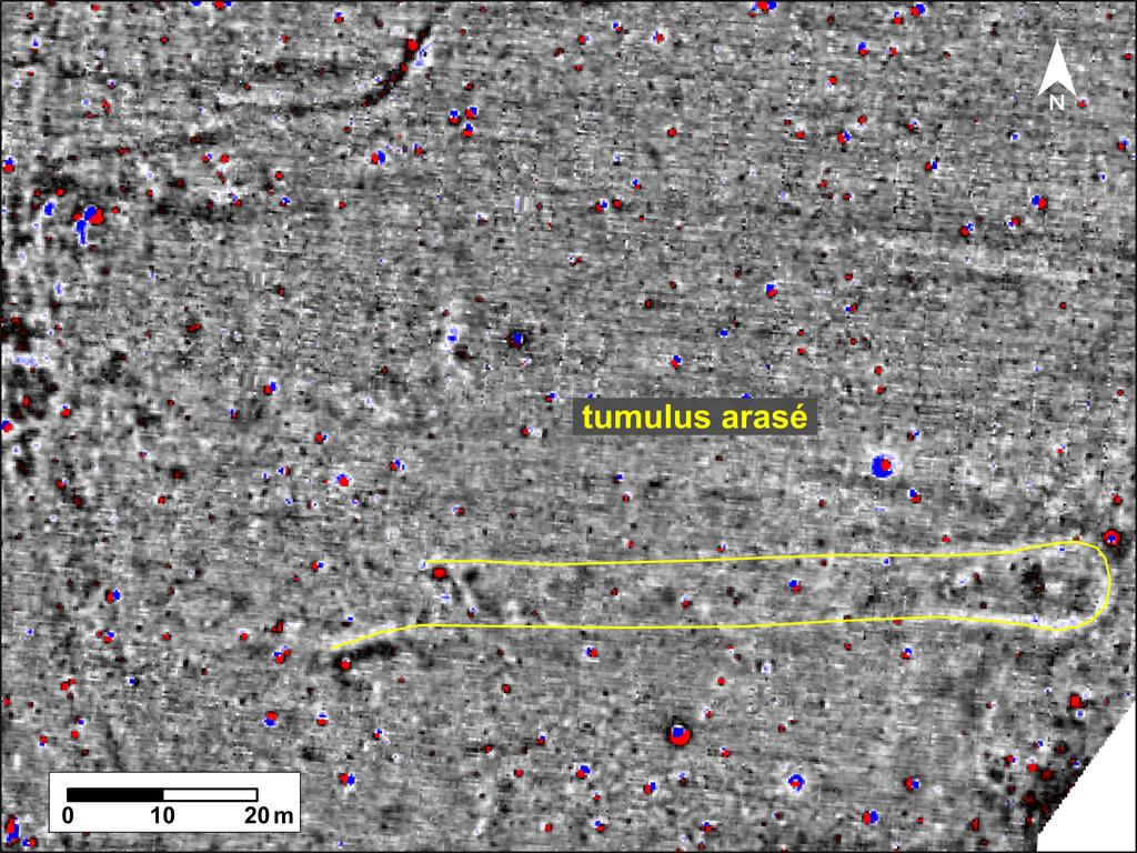 Extrait d’une carte de prospection magnétique révélant la présence des vestiges d’un long tumulus arasé dans le secteur du Manio.