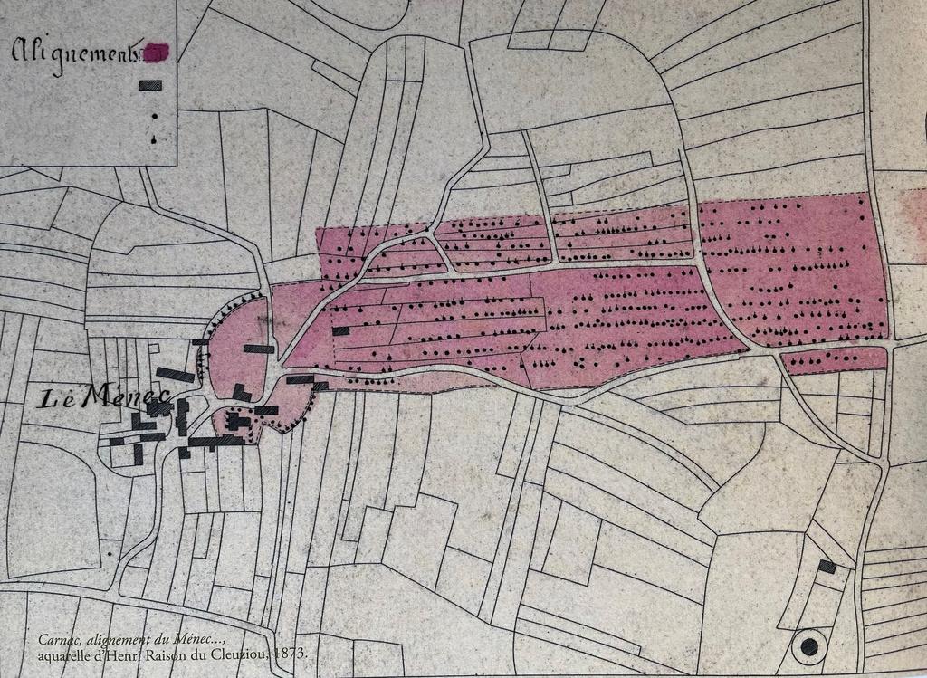 Henri du Cleuziou, Alignements du Ménec : plan des alignements (extrait), 1873 (env.).