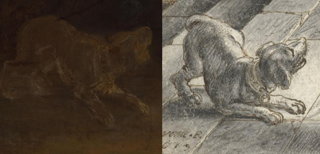 Le chien peint par Rembrandt (détail de La Ronde de nuit, à gauche) comparé au chien dessiné par Adriaen van de Venne (détail de Joseph et la femme de Putiphar, à droite).