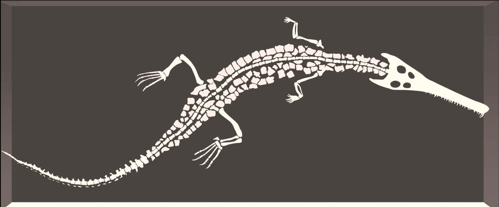 Vue d’artiste du fossile de crocodile. 