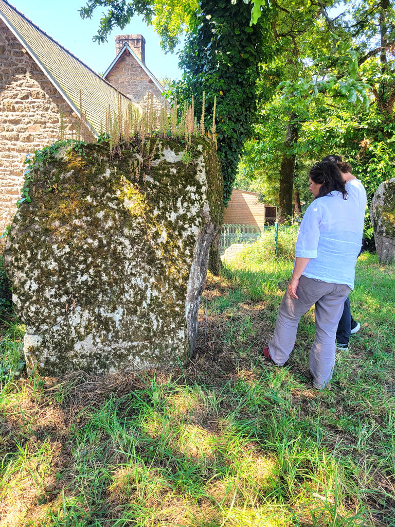 Menhir présentant une couverture microbiologique très étendue.
