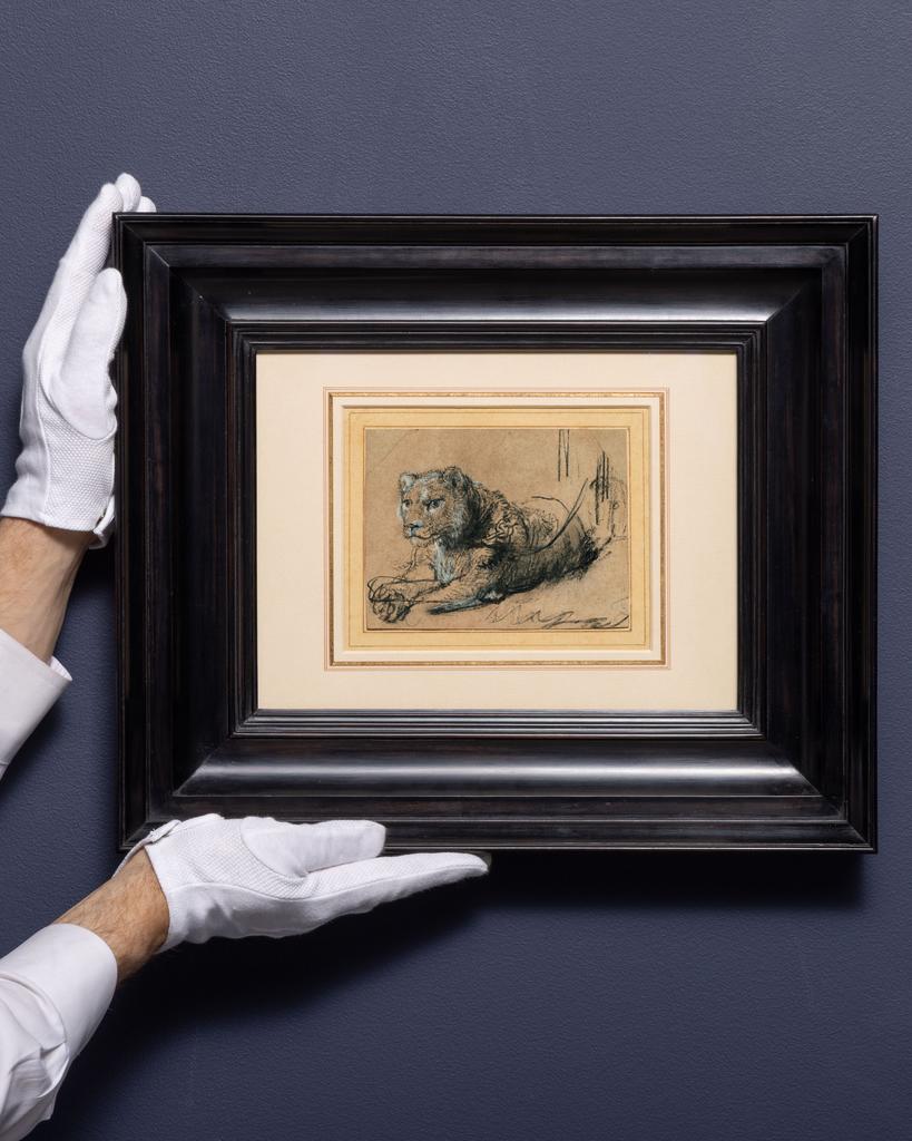 Rembrandt Harmensz. van Rijn (1606-1669), Jeune lion au repos, vers 1638-1642. Craie noire avec rehauts de craie blanche et lavis gris sur papier vergé brun, 115 x 150 cm. Vente New York, Sotheby's, le 4 février 2026. Estimé : 15/20 millions d'euros.