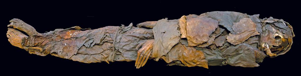 Momie féminine dite 