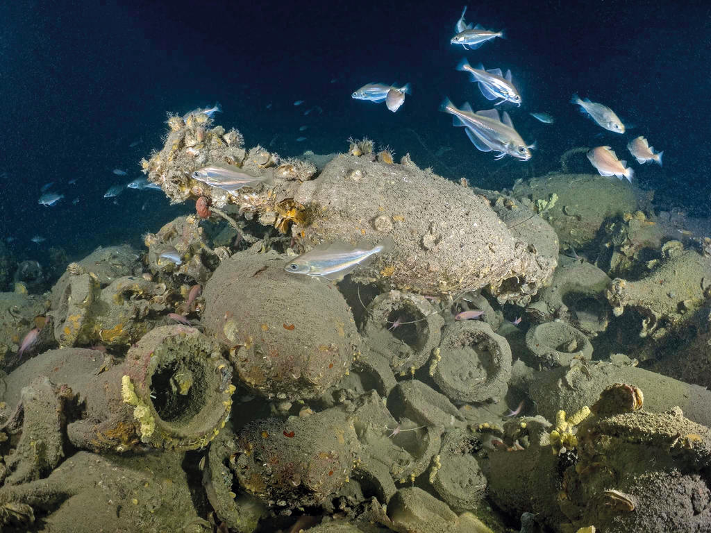 Céramique commune, IIe ou Ier siècle avant notre ère. Provenance : Saint-Raphaël, épave Dramont A. Fouilles C. Santamaria en 1958. Inv. D59-9-8. 