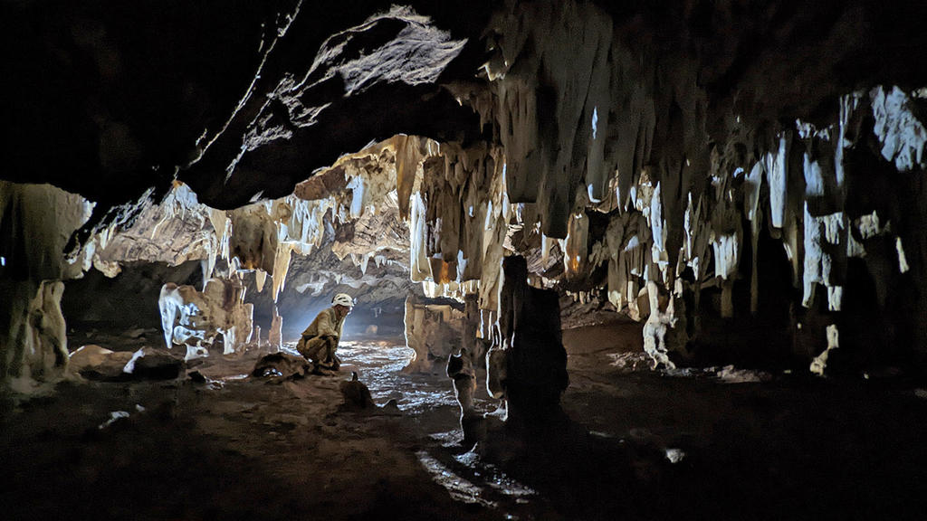 Salle terminale de Bone Cave (Koanaka Hills), juste à côté du site en cours de fouille.