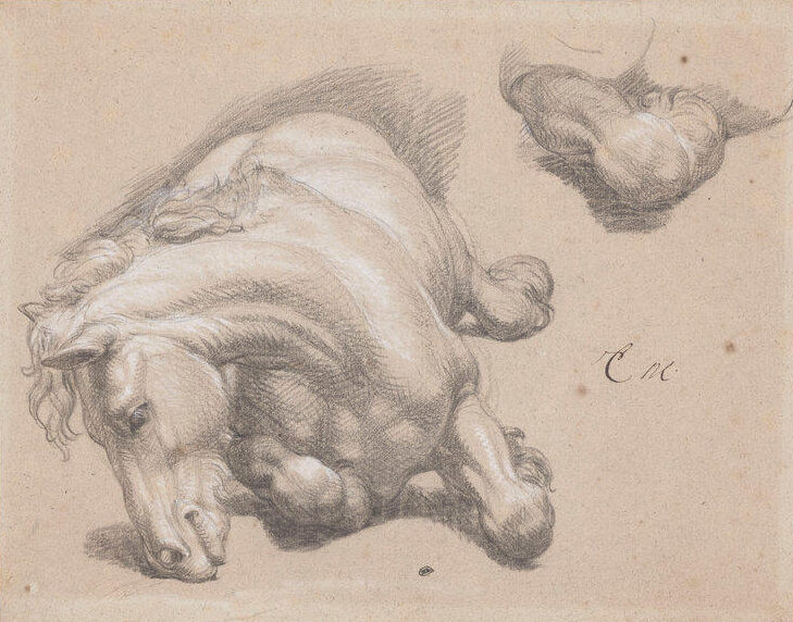 Charles Le Brun (1619-1690), Cheval couché, vers 1660-1670. Pierre noire et rehauts de craie blanche sur papier beige, 26,2 x 33,6 cm. Paris, musée du Louvre, département des Arts graphiques.