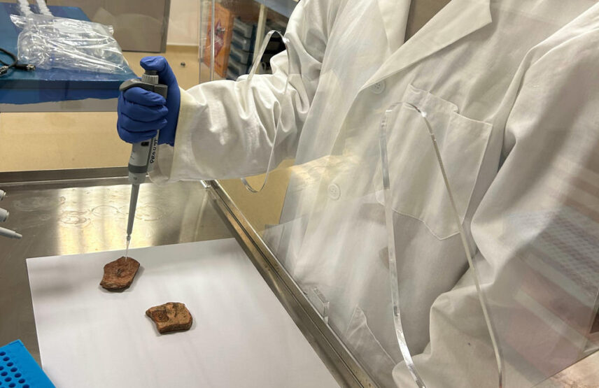 Marquage d’un tesson avec de l’ADN.