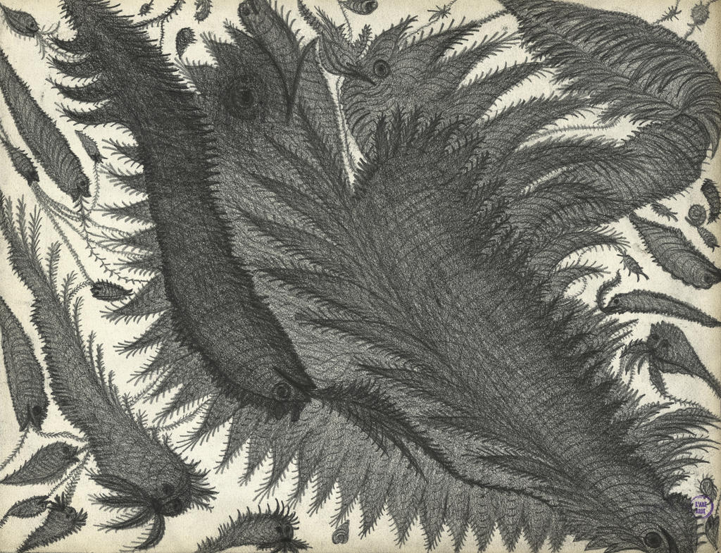 Marie Bouttier (1839-1921), Sans titre, 1899. Graphite sur papier, 24,7 x 32 cm. Lausanne, Collection de l’Art Brut. 