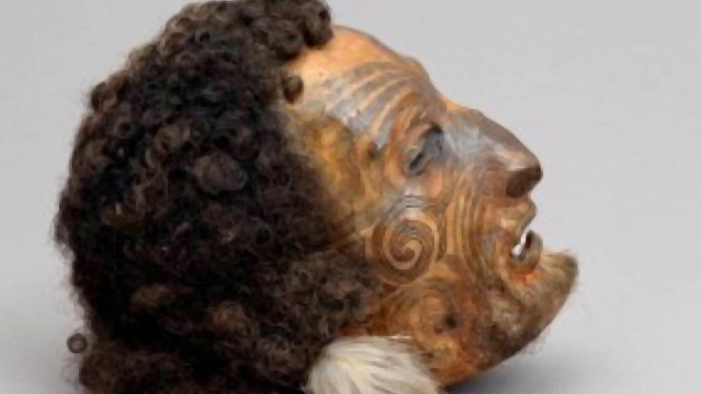 Tête maorie momifiée restituée. Collection du musée national de la Marine.